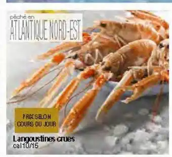 Migros Langoustines crues offre