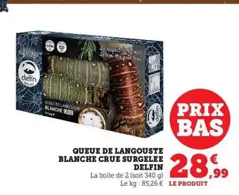 U Express Queue de langouste blanche crue surgelées delfin offre