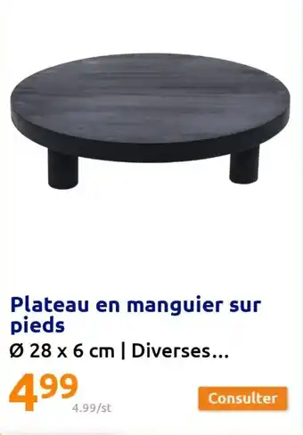 Action Plateau en manguier sur pieds offre