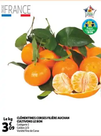Auchan Clémentines corses filière auchan cultivons le bon offre