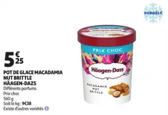 Pot de glace macadamia nut brittle häagen-dazs