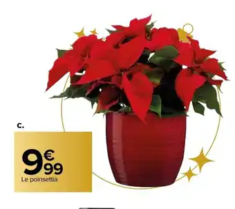 Carrefour Market Poinsettia offre