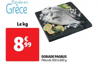 Auchan Dorade Pagrus offre