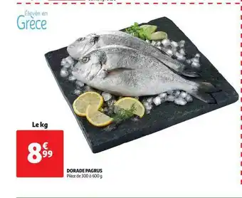 Auchan Dorade Pagrus offre