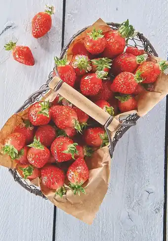 FRAISE GARIGUETTE LITEE ITINERAIRE DES SAVEURS