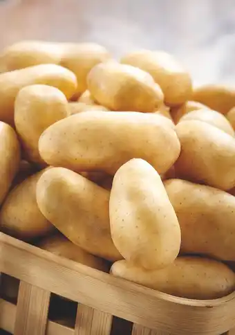Intermarché POMME DE TERRE DE CONSOMMATION MON MARCHE PLAISIR offre