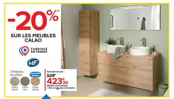 Castorama Meuble sous-vasque l.120 cm + plan de toilette offre