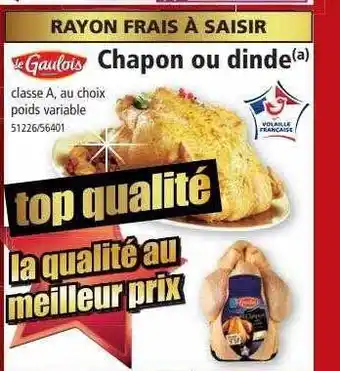 Norma Chapon ou dinde le gaulois offre