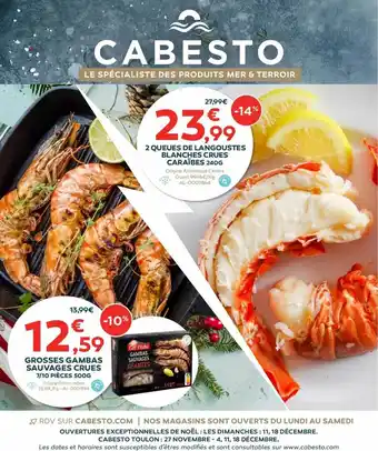 Cabesto 2 queues de langoustes blanches crues caraïbes 240 g, grosses gambas sauvages crues 7-10 pièces 500 g offre