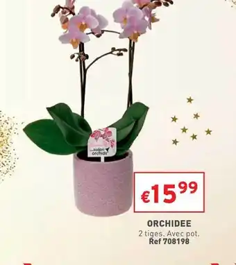 Trafic Orchidée offre