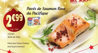Gel 2000 Pavés de saumon rose du pacifique offre