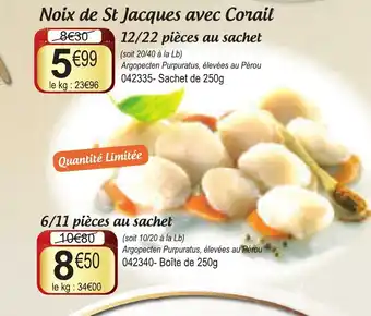 Gel 2000 Noix de st jacques avec corail offre