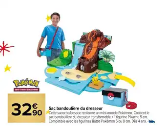 Carrefour Market Sac bandoulière du dresseur offre