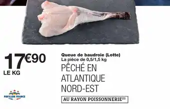 Monoprix Queue De baudroie offre