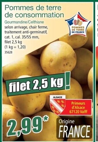 Norma Pommes de Terre de Consommation offre