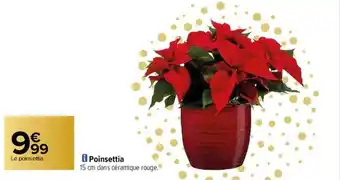 Carrefour Poinsettia offre