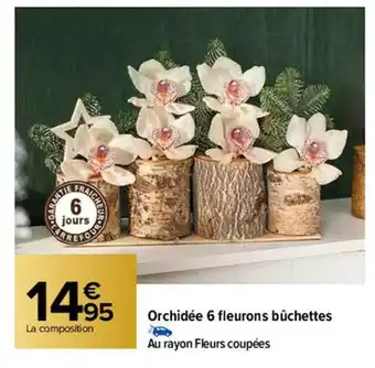 Carrefour Orchidée 6 fleurons bûchettes offre