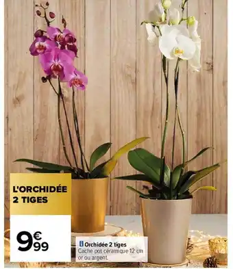 Carrefour Orchidée 2 tiges offre