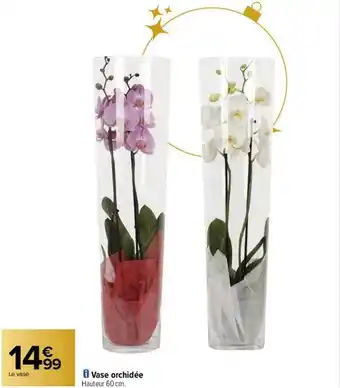 Carrefour Vase orchidée offre
