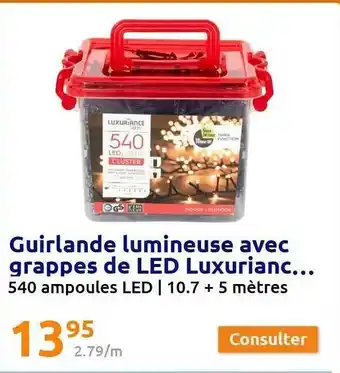 Action Guirlande lumineuse avec grappes de led luxuriance... offre