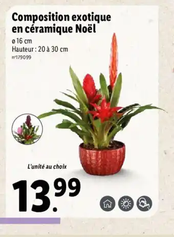 Lidl Composition Exotique En Ceramique Noel offre