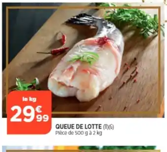 Bi1 Queue de Lotte offre