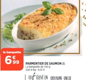 Bi1 Parmentier de Saumon offre