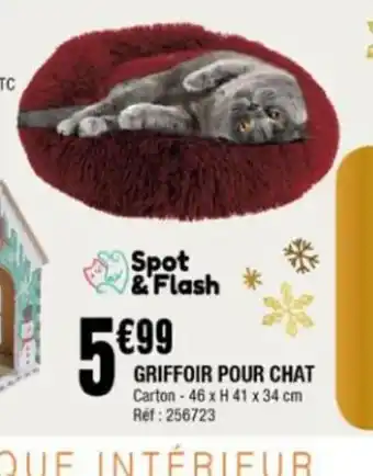La Foir'Fouille Griffoir Pour Chat offre