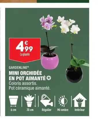 ALDI Mini Orchidee En Pot Aimante offre