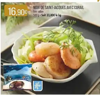 Match Noix de saint-jacques avec corail offre