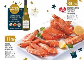 Match Grosses crevettes roses cuites, grosses crevettes roses cuites label rouge offre