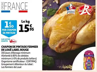 Chapon de pintade fermier de loué label rouge