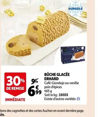 Buche Glacée Erhard