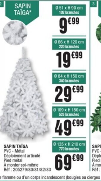 Sapin Taiga