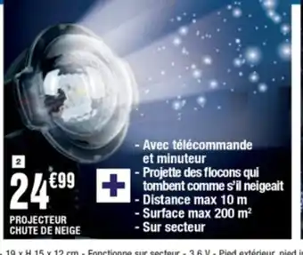 La Foir'Fouille Projecteur Chute de neige offre