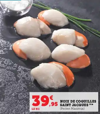 Super U Noix de coquilles saint jacques offre