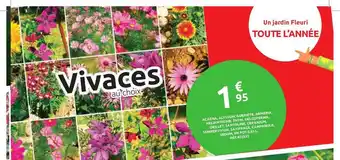Mr Bricolage Un Jardin Fleuri Toute L'année offre