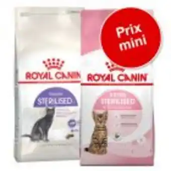 Zooplus Pack transition : royal canin pour chaton et chat adulte à prix mini ! offre