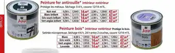 Provence Outillage Peinture fer antirouille ou bois offre