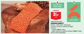 ALDI Coussin garni offre