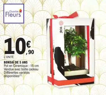 E.Leclerc Bonsaï de 5 ans offre