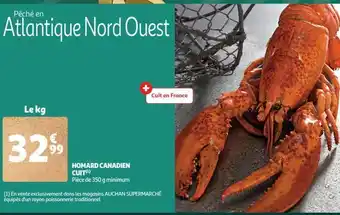 Homard canadien cuit(