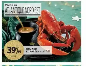 Homard européen cuit