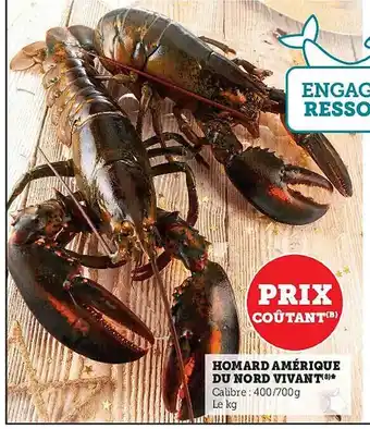 Super U Homard amérique du nord vivant offre
