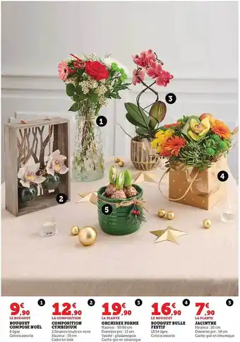 Super U Bouquet composé noël, composition cymbidium, orchidée forme, bouquet bulle festif, jacinthe offre