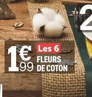 Centrakor Fleurs de Coton offre