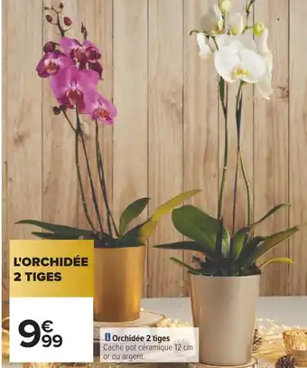 Carrefour Orchidée 2 tiges offre