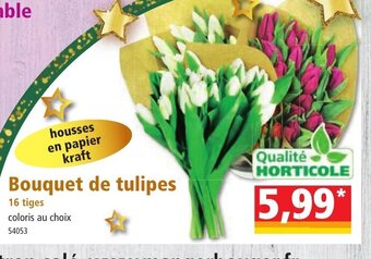 Norma Bouquet De Tulipes offre