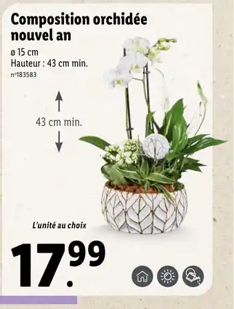 Lidl Composition Orchidee Nouvel An offre