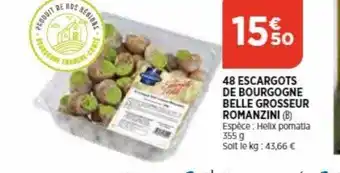 Bi1 48 escargots de bourgogne belle grosseur romanzini offre